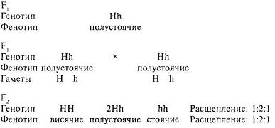 Основы генетики