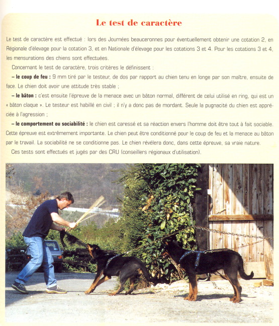 Caractère beauceron