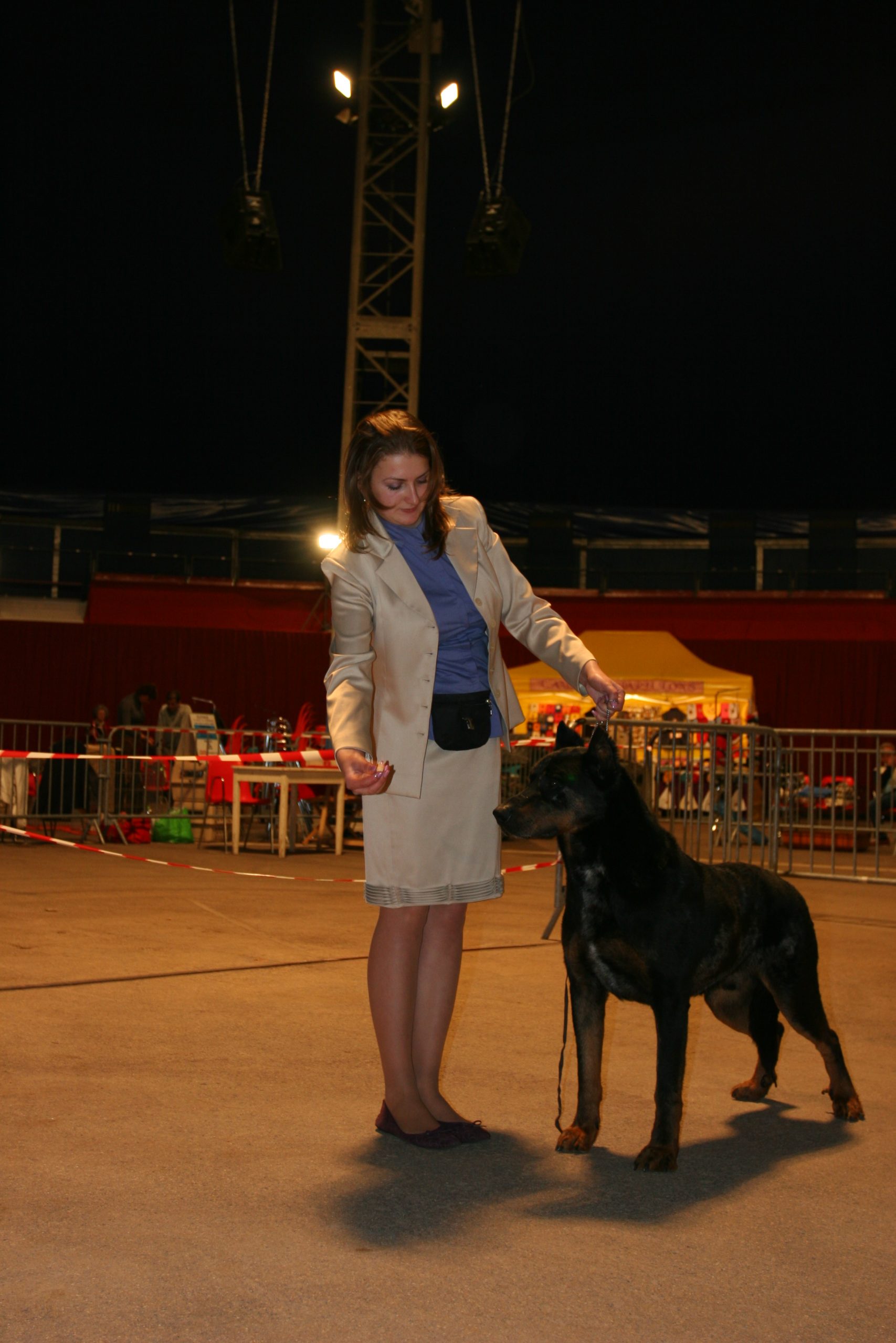 Фотоотчёт о Международной выставке собак в Монако
