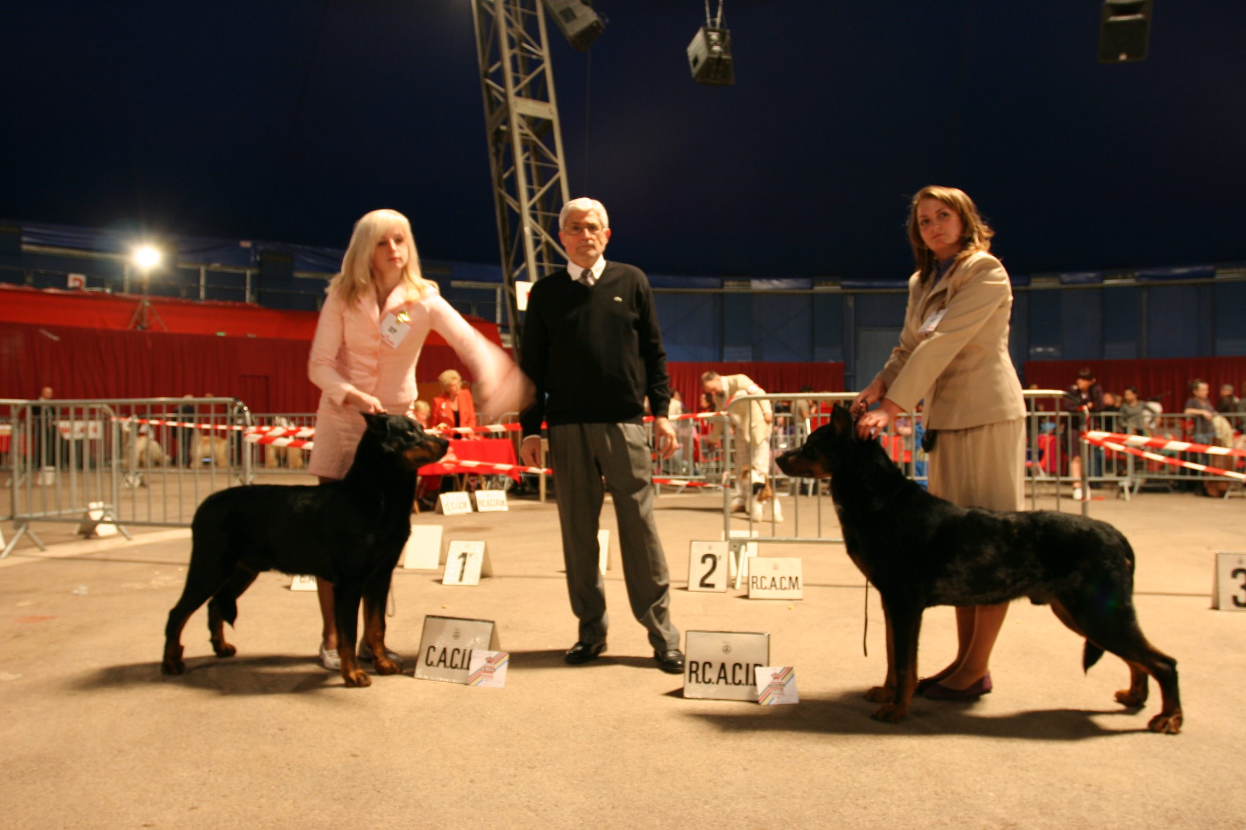 Фотоотчёт о Международной выставке собак в Монако