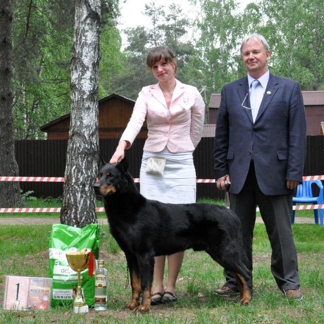 Суки класс чемпионов НКП