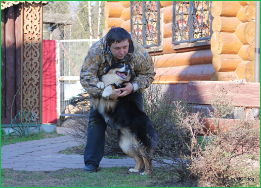 Husky Haven Грэмми