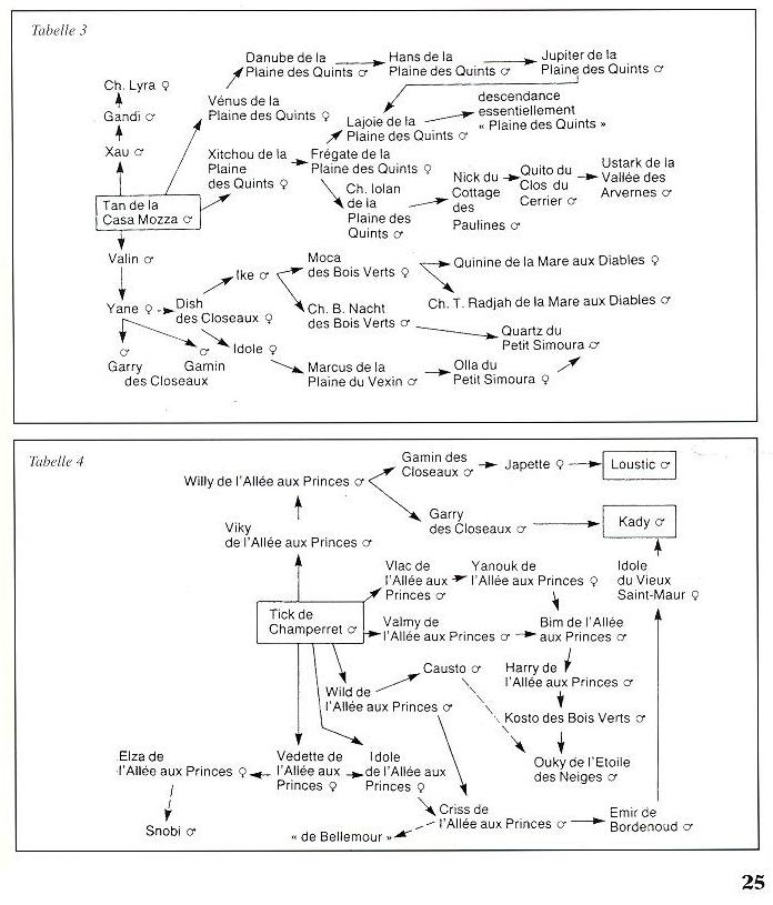 Книга про босеронов Александры Менцель