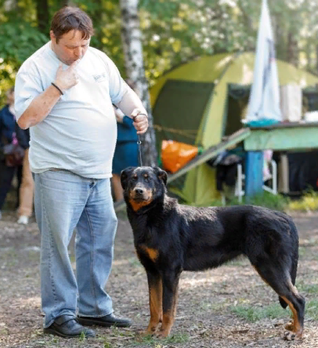 Мери Поппинс Countryfoek