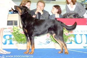 USTON Du Gardien De La Puissance (Юстин)